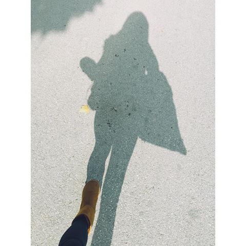 12224430_1671107159792756_390056863_n