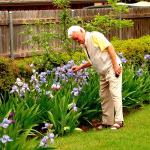 JC Hibbard tending his garden