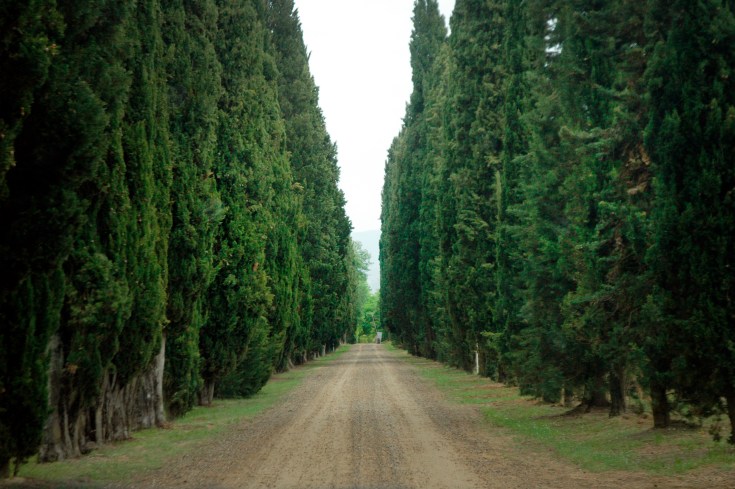 Entrance to Il Palagio in Tuscany at Saturdaysoul.com