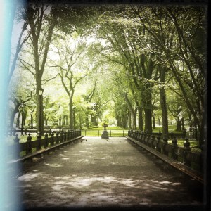 The Path at SaturdaySoul.com photo by Sandy Hibbard at Lensqueen.com