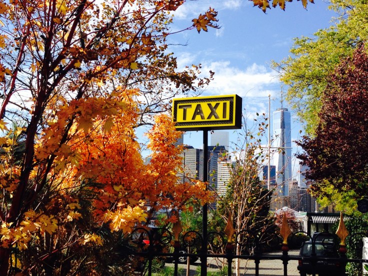 Getting a Taxi in November in NYC