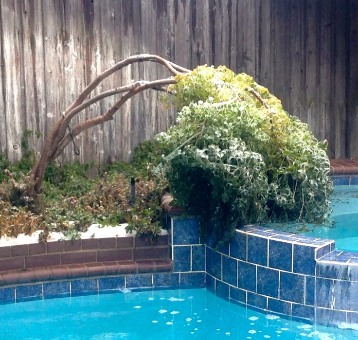 You have more strength and courage than you think