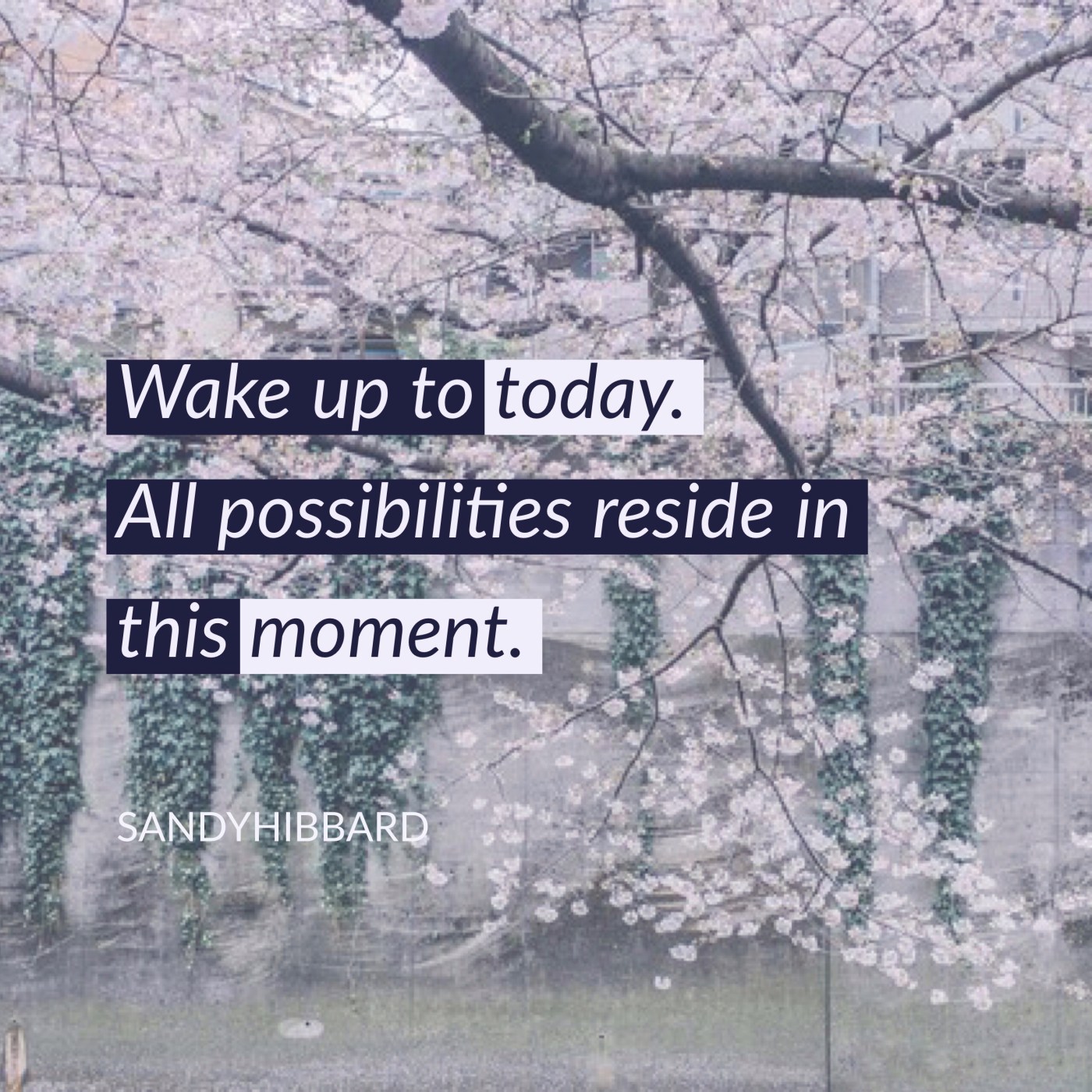 inspirational quotes sandy hibbard saturdaysoul.com