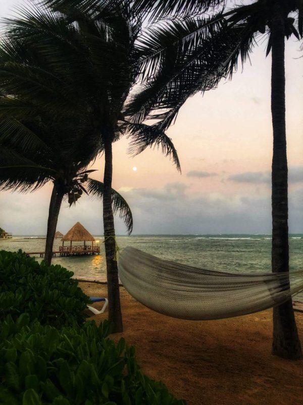 beach scene with hammock in mexico